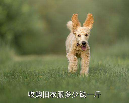 收购旧衣服多少钱一斤