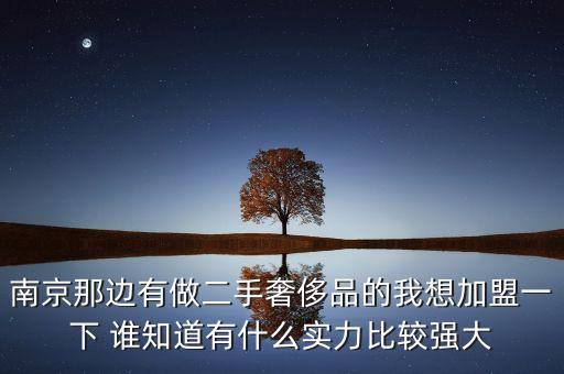 南京那边有做二手奢侈品的我想加盟一下 谁知道有什么实力比较强大