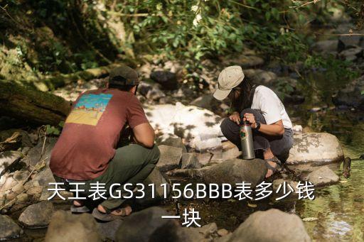 天王表GS31156BBB表多少钱一块