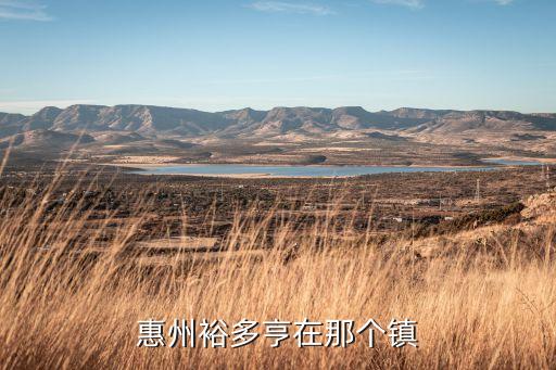 惠州上门回收废品电话，广东省惠州市惠城区的朋友进来一下