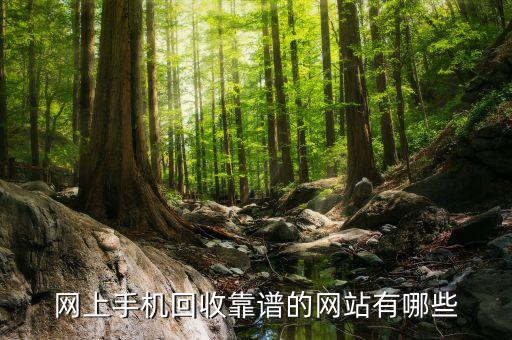 网上手机回收靠谱的网站有哪些