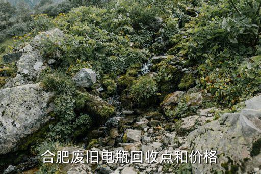合肥废旧电瓶回收点和价格