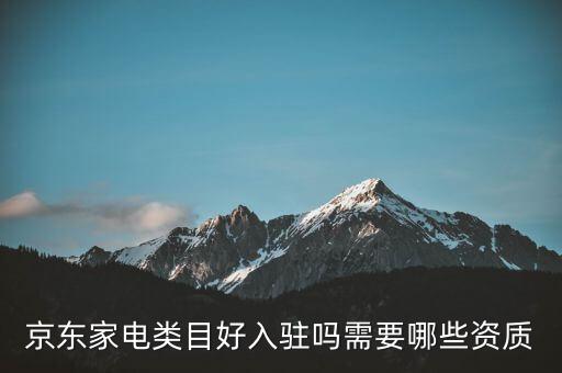京东家电类目好入驻吗需要哪些资质