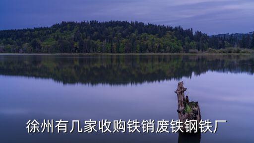 徐州有几家收购铁销废铁钢铁厂