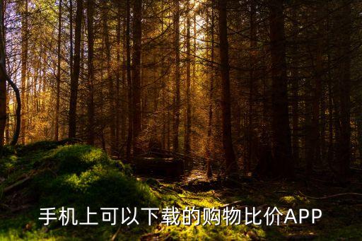 手机上可以下载的购物比价APP