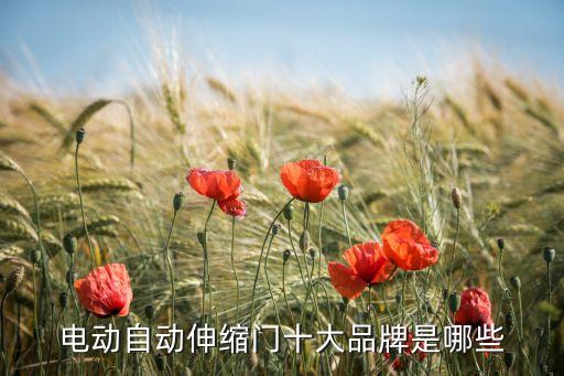 电动自动伸缩门十大品牌是哪些