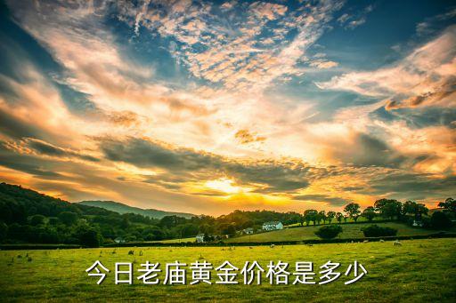 今日老庙黄金价格是多少
