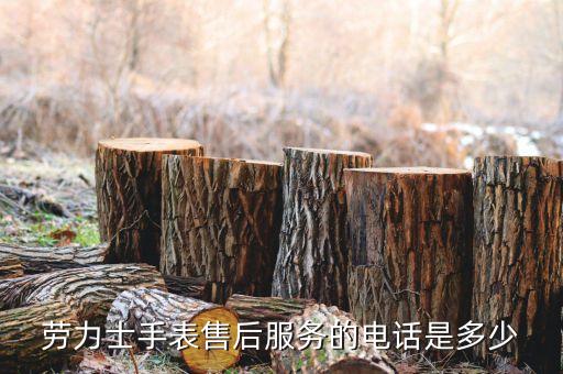 劳力士手表售后服务的电话是多少