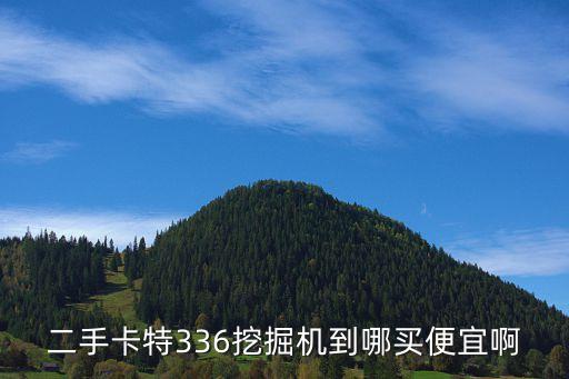 二手卡特336挖掘机到哪买便宜啊