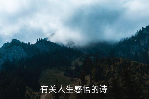 有关人生感悟的诗