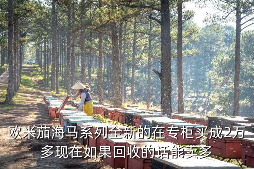 高端手表回收多少钱，一个二手的名牌手表去典当铺当的话值多少钱