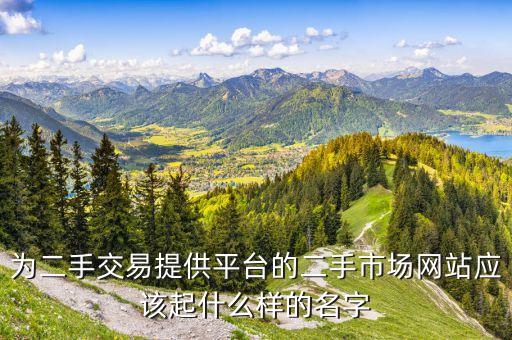 为二手交易提供平台的二手市场网站应该起什么样的名字