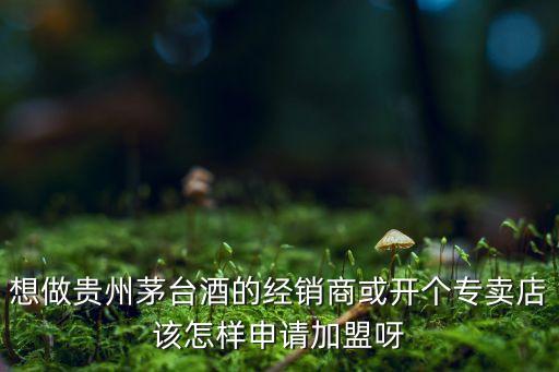 茅台酒代理加盟条件，如何加盟茅台酒专卖店