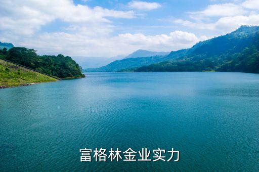 富格林金业实力