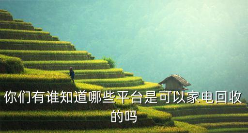 你们有谁知道哪些平台是可以家电回收的吗
