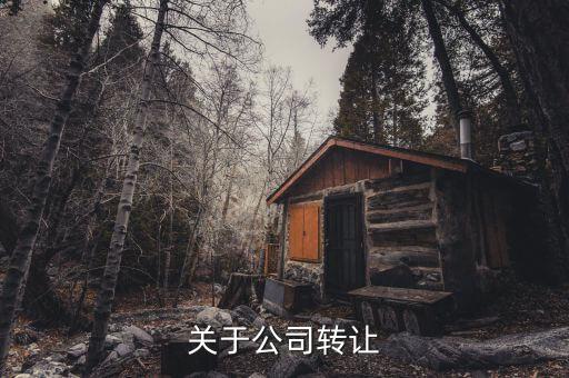 一般公司转让，关于公司转让