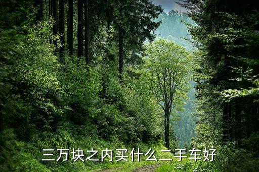 本地二手车1一3万，3万左右能买什么样的二手车有什么好的推荐