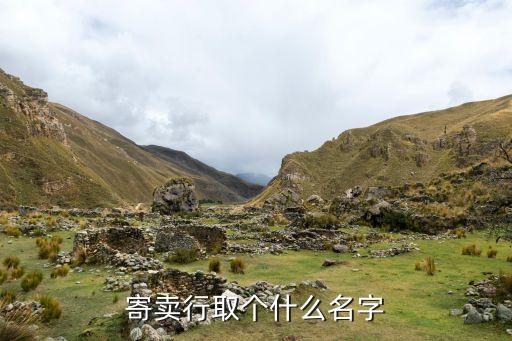 寄卖行起名大全，属龙人开寄卖行起名字带义的更好