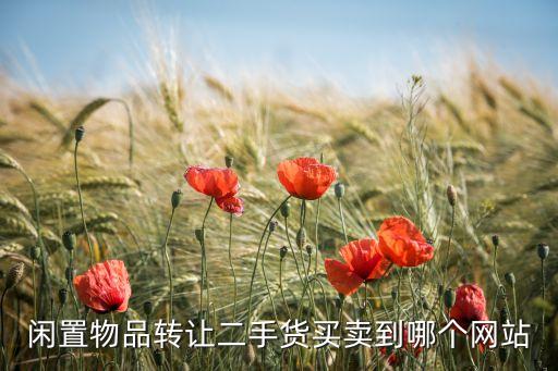 闲置物品转让二手货买卖到哪个网站