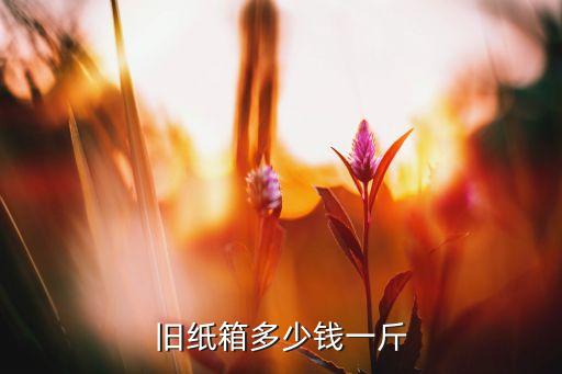 旧物回收价格表，旧纸箱多少钱一斤