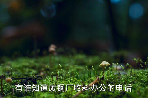 有谁知道废钢厂收料办公的电话