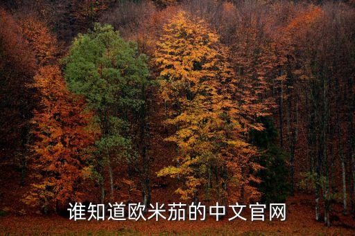 欧米茄官网网址，欧米茄手表中文官网在哪里