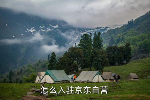 怎么入驻京东自营