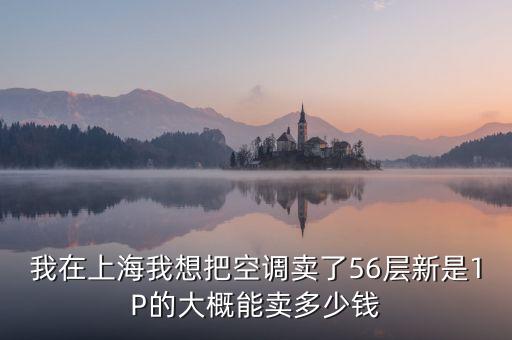 我在上海我想把空调卖了56层新是1P的大概能卖多少钱