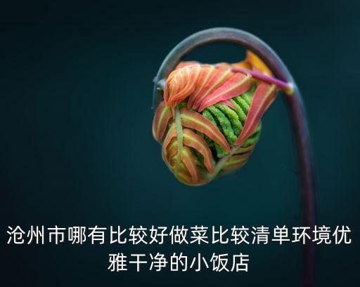沧州市哪有比较好做菜比较清单环境优雅干净的小饭店