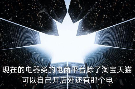 加盟电器电商平台有哪些，现在的电器类的电商平台除了淘宝天猫可以自己开店外还有那个电