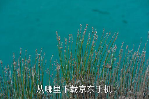 从哪里下载京东手机
