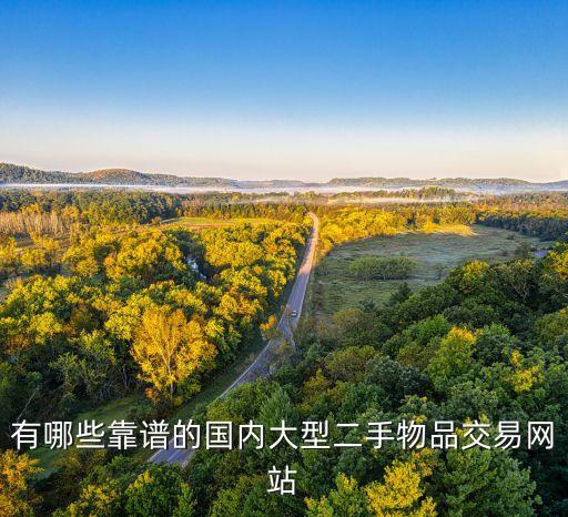 有哪些靠谱的国内大型二手物品交易网站