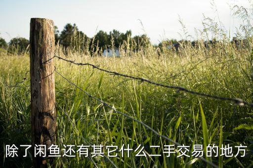 除了闲鱼还有其它什么二手交易的地方