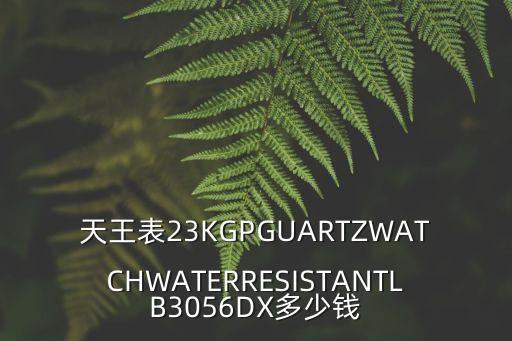 天王表23KGPGUARTZWATCHWATERRESISTANTLB3056DX多少钱