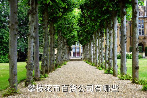 攀枝花市百货公司有哪些