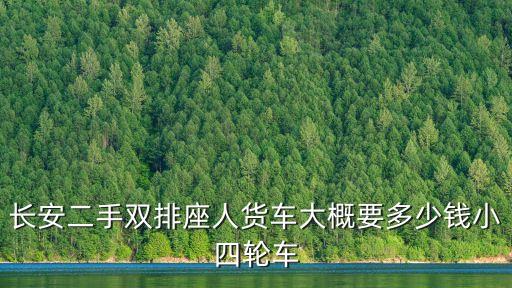 长安二手双排座人货车大概要多少钱小四轮车