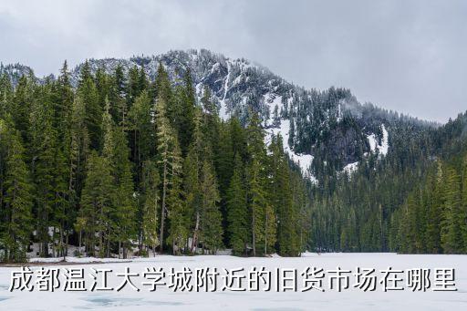 成都温江大学城附近的旧货市场在哪里