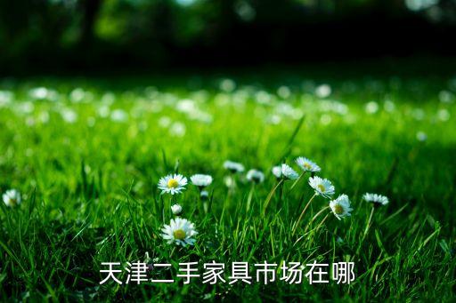 天津二手家具市场在哪