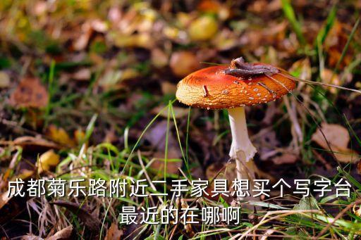 成都菊乐路附近二手家具想买个写字台最近的在哪啊