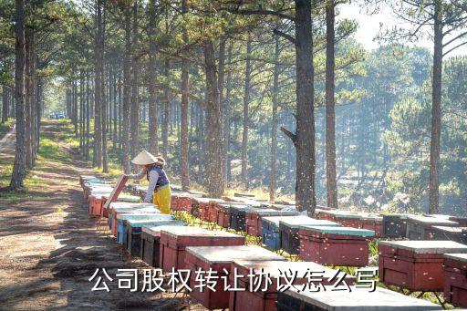 公司股权转让协议怎么写