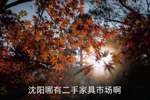 沈阳市二手家具市场，沈阳卖旧家具的市场在哪
