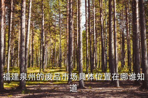 福建泉州的废品市场具体位置在哪谁知道