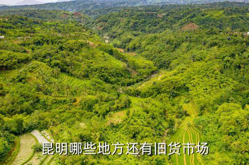 昆明哪些地方还有旧货市场