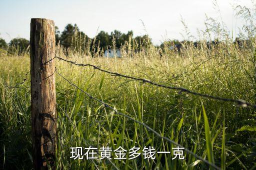 现在黄金多钱一克
