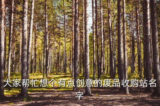 大家帮忙想个有点创意的废品收购站名字