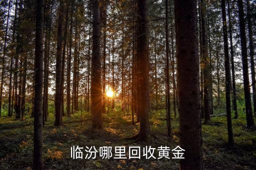临汾哪里回收黄金