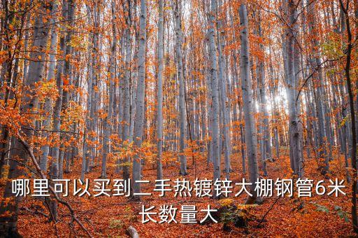 哪里可以买到二手热镀锌大棚钢管6米长数量大