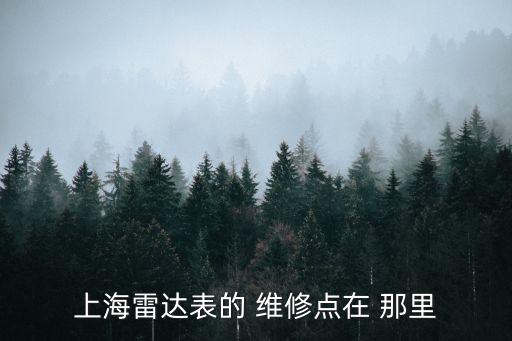 上海雷达表的 维修点在 那里