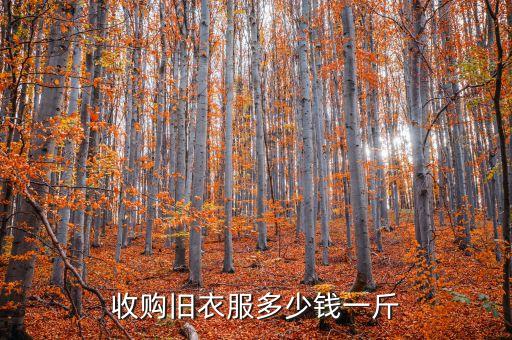 收购旧衣服多少钱一斤