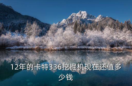12年的卡特336挖掘机现在还值多少钱